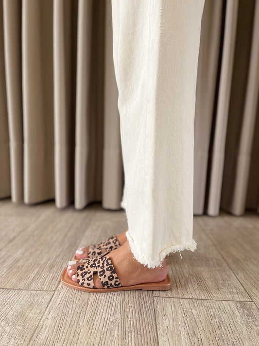 PLANITA QD05 ANIMAL PRINT TIGRE