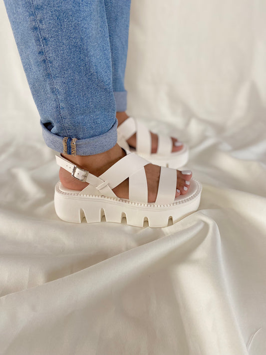 PLATAFORMA DN01 TRES LECHES