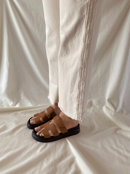 PLATAFORMA KINSHASA CAMEL